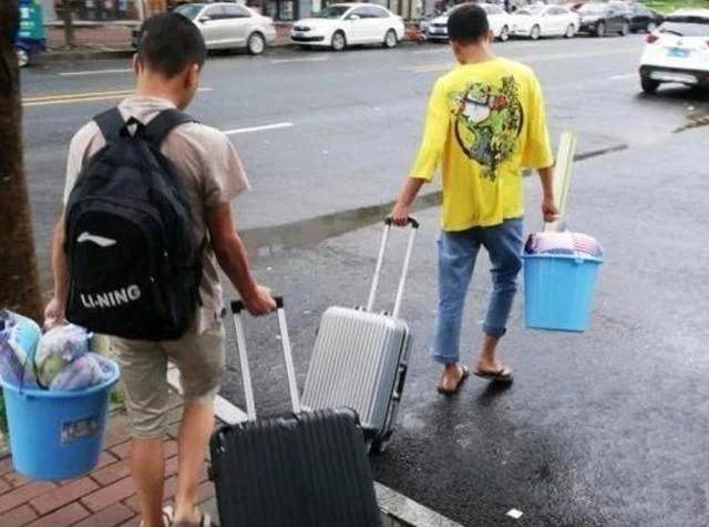 神级龙卫最新更新，变化中的学习之旅与自信成就之源