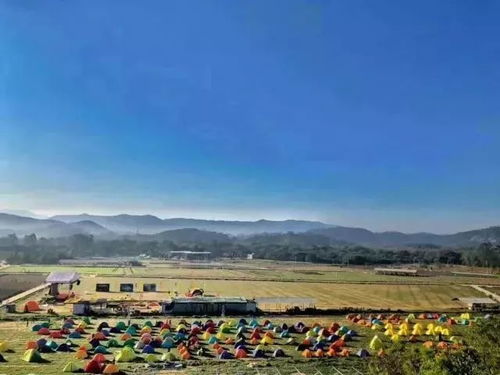 萍乡最新招聘，启程探索自然美景，寻找内心的宁静与平和之旅