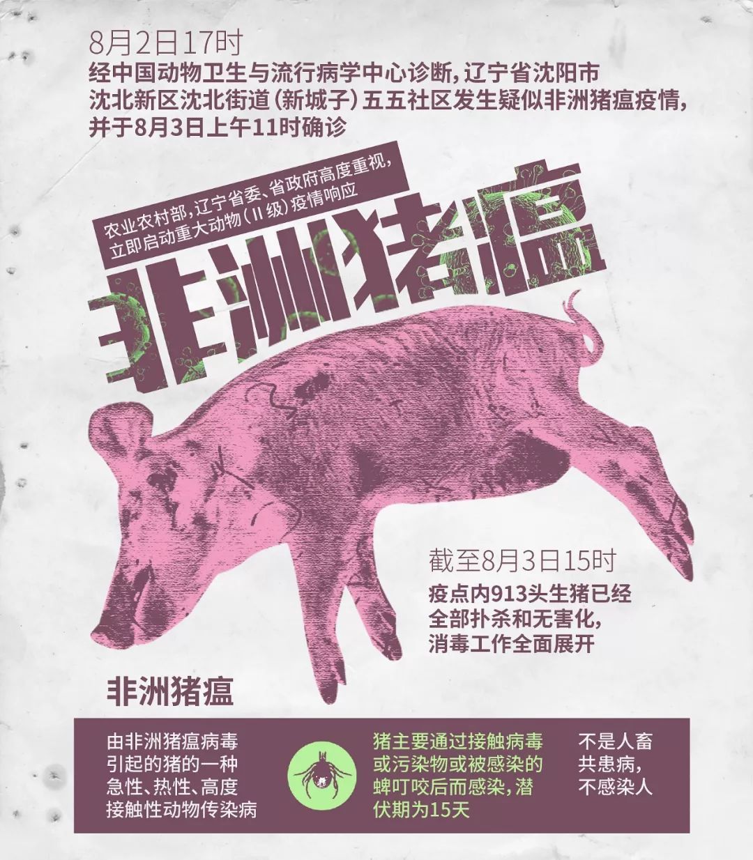 小巷美食探索之旅