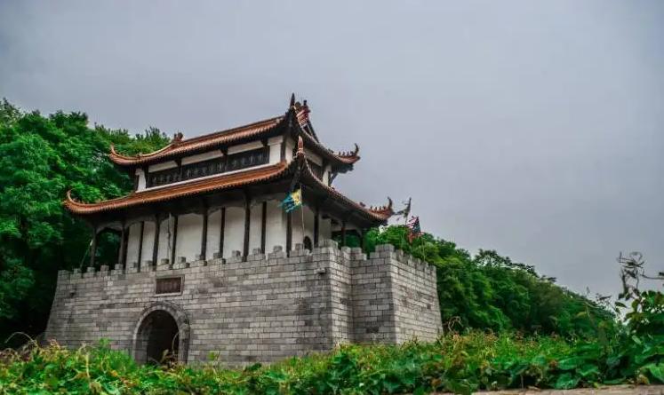 汤姆猫最新版，自然美景探险之旅启动
