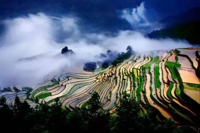 最原始的欲望与自然美景的探险之旅最新章节