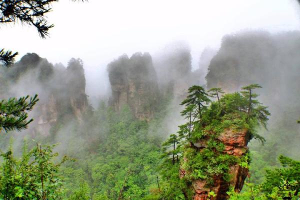 最新影视在线，探索自然美景，寻觅内心平和的旅行乐园