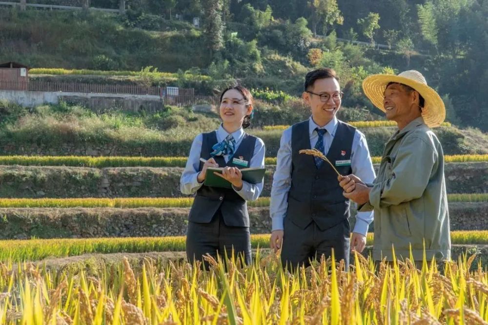 农业银行最新动态，自然美景探索之旅的心灵宁静体验