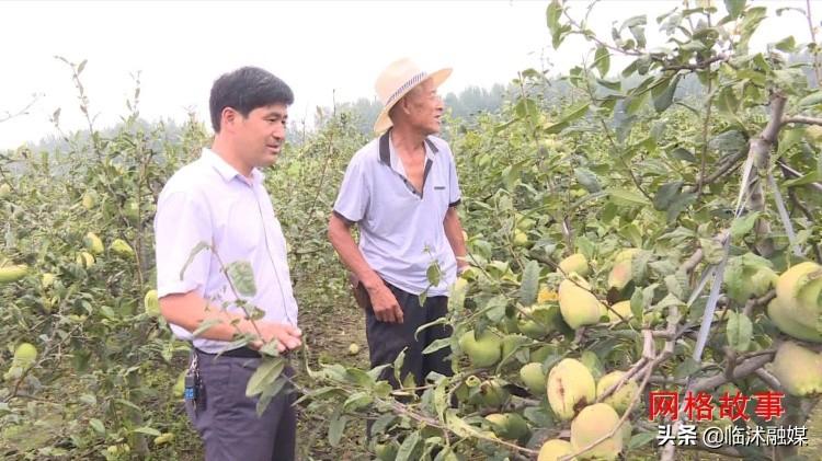 临沭贴吧最新招聘资讯，启程探索自然美景，寻求内心平和之乐