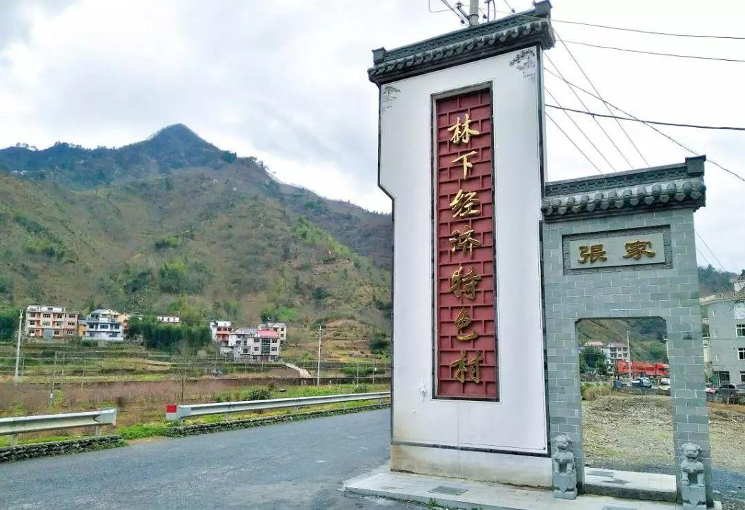 （注