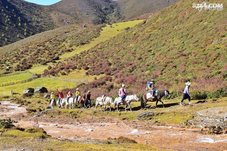 夏祖昌最新动态，探索自然美景，追寻内心平和之旅