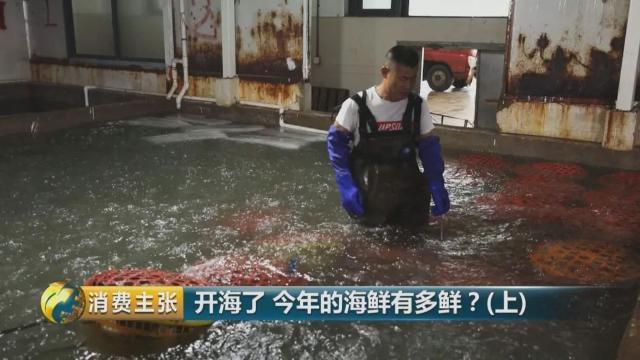 2019年梭子蟹最新报价指南