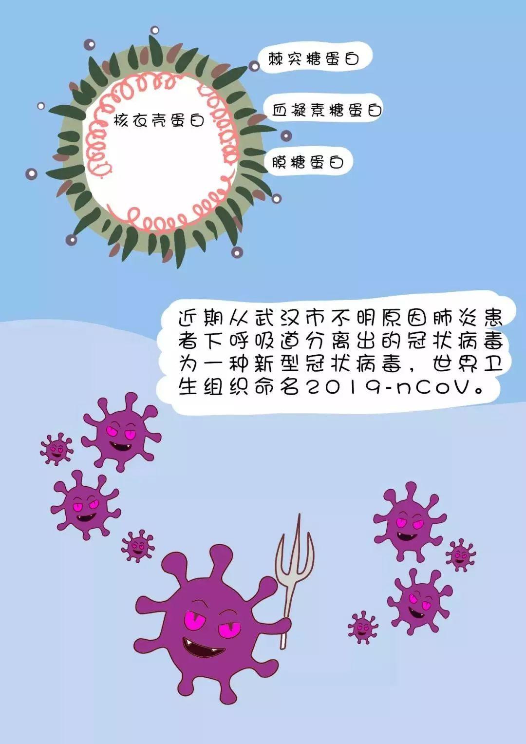 新冠防控最新要求详解，最新步骤指南与应对策略