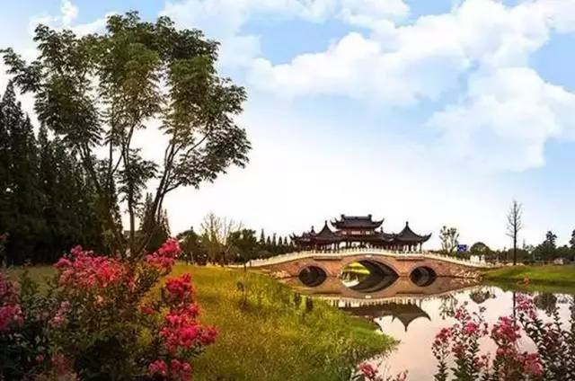 临海河马最新动态，探索自然美景，寻找内心平和与宁静之旅