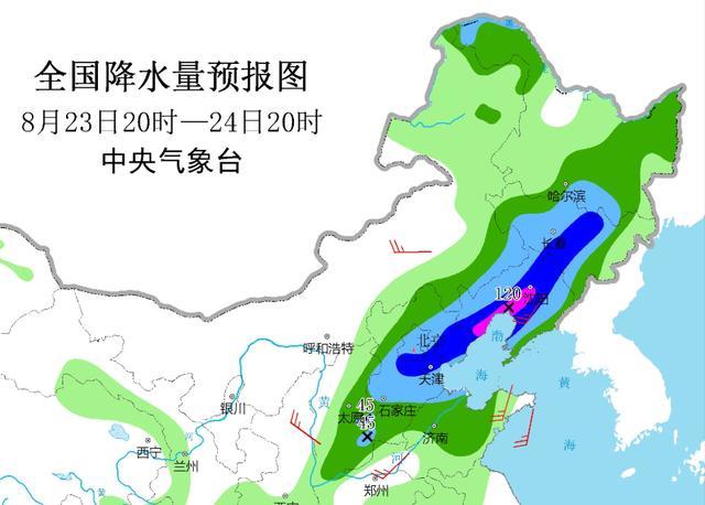 案例分析报告