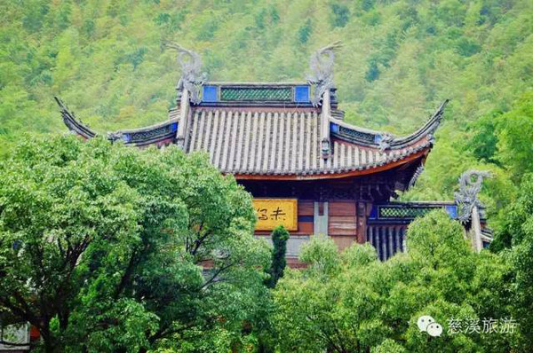 慈溪最新政策，探索自然美景的轻松之旅启程