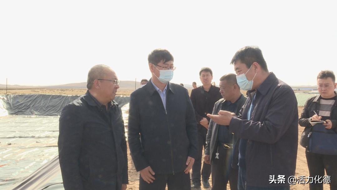 防爆振动电机 第264页