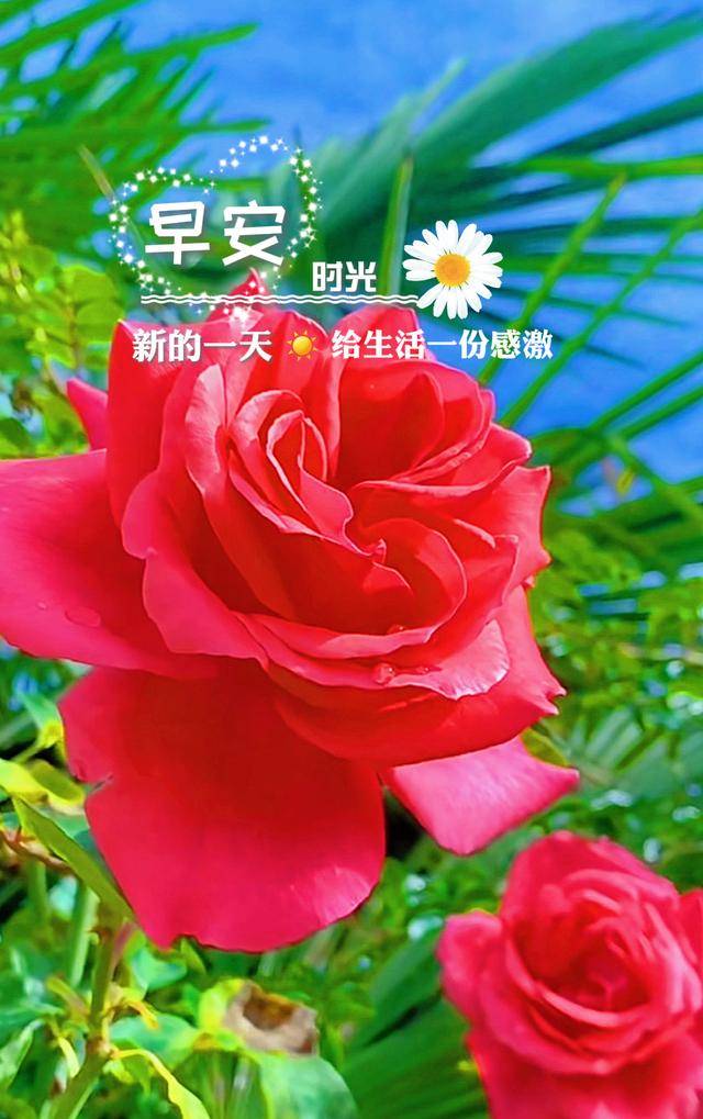 早安最新美图2023科技之光，唤醒生活的瞬间
