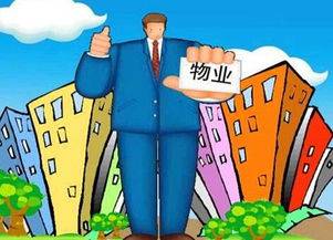 最新涨价背后的奇妙日常体验