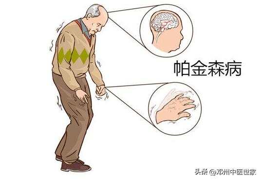 立式防爆振动电机 第81页