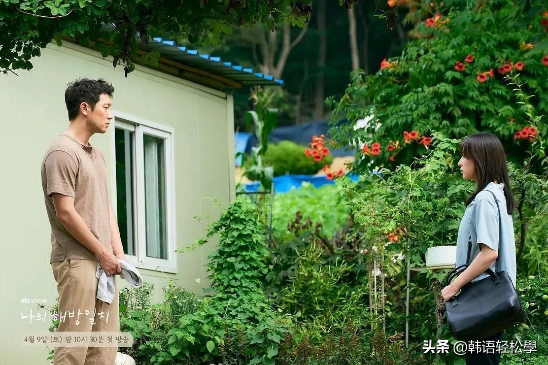 韩剧2020最新剧集，自然美景下的治愈之旅探索