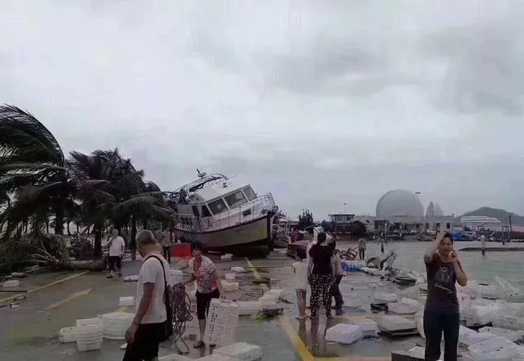 台风天鸽的最新动态与温馨奇遇，风雨中的温情故事