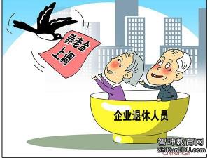 养老金涨幅最新动态，调整方案及实施细节揭秘