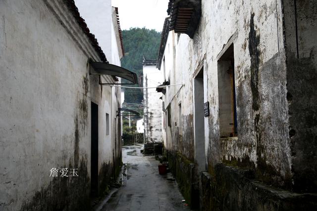 汾湖芦墟求职信息探秘，小巷中的最新职位宝藏
