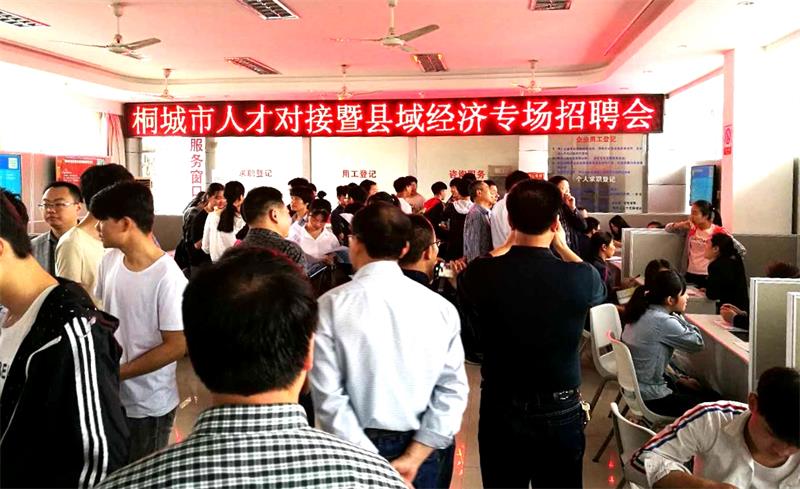 桐城人才招聘最新消息，汇聚精英，共创未来之旅