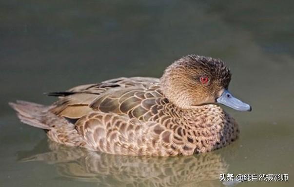 南沙海湾1号最新房价，家的温馨故事启航点