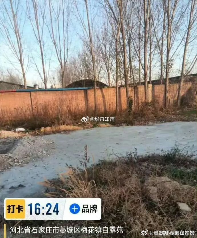 藁城南席吧最新消息深度探析与多维视角观察