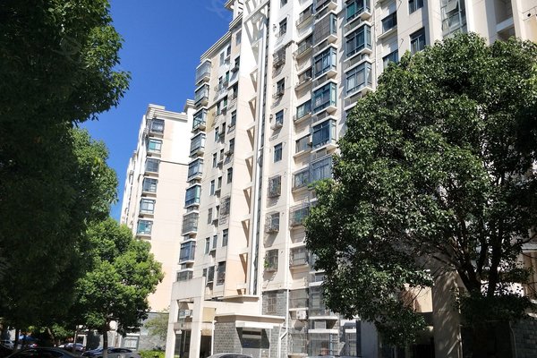 大树英格澜最新消息，科技引领未来智能魅力，重塑生活体验