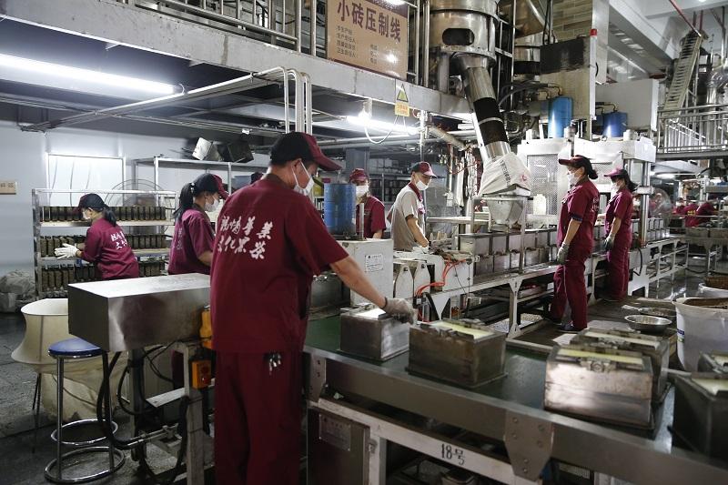 华莱黑茶最新动态，引领健康茶饮新潮流