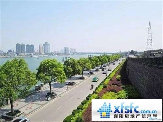 金堂福兴大道最新动态，自然美景探索之旅启程！