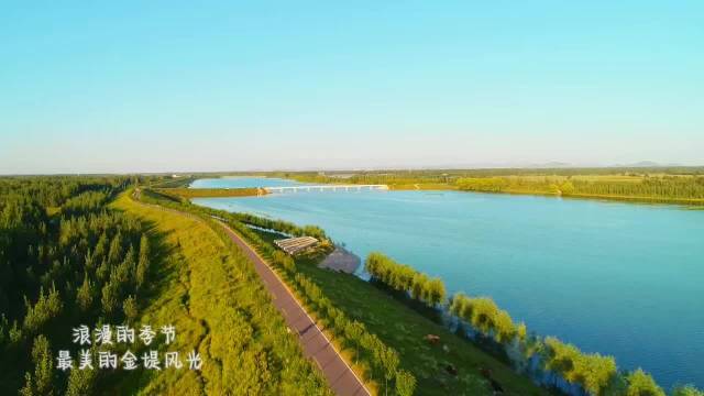 阳谷最新新闻消息及获取指南