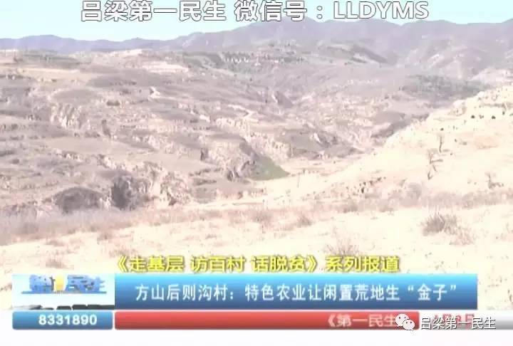 立式防爆振动电机 第15页