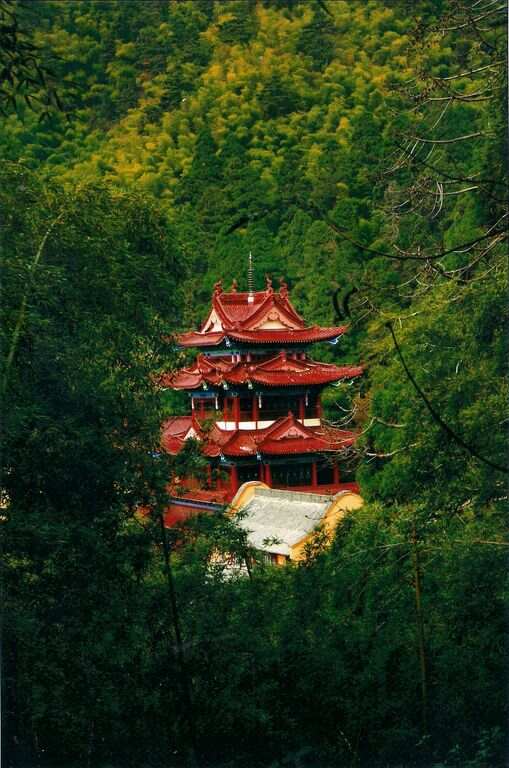 东天目山最新往生视频，自然与心灵的完美交融之旅