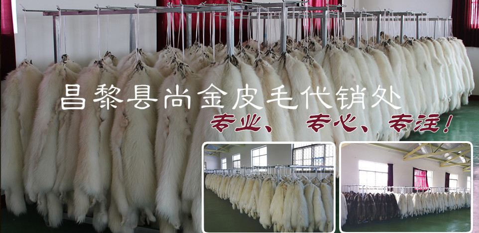 狐狸皮最新价格，揭示温情友情背后的价值秘密