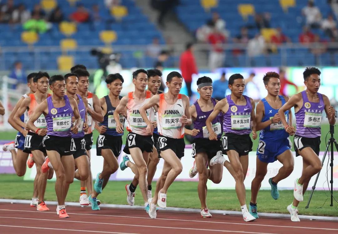 中国游泳队荣耀时刻，女子800自金银铜全包揽，闪耀世界舞台