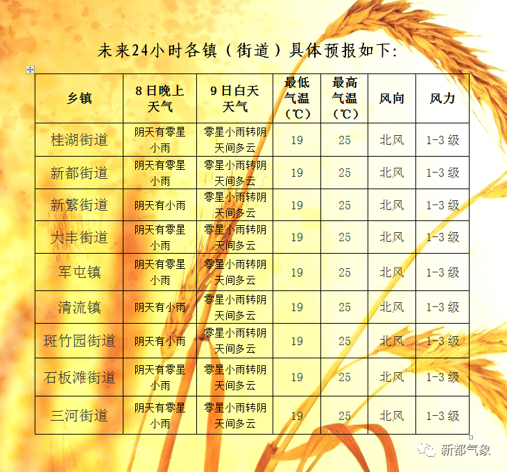新澳今天最新资料水果爷爷_西峡天气最新预报,安全策略评估_经典款23.93.47
