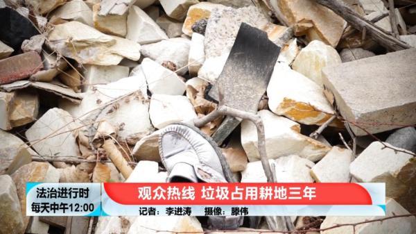 女子冒充记者专骗村支书，诈骗步骤与警示指南
