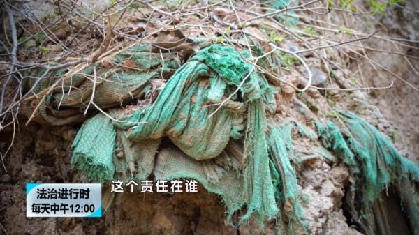 女子冒充记者背后的励志故事，蜕变中的智慧与自信之旅