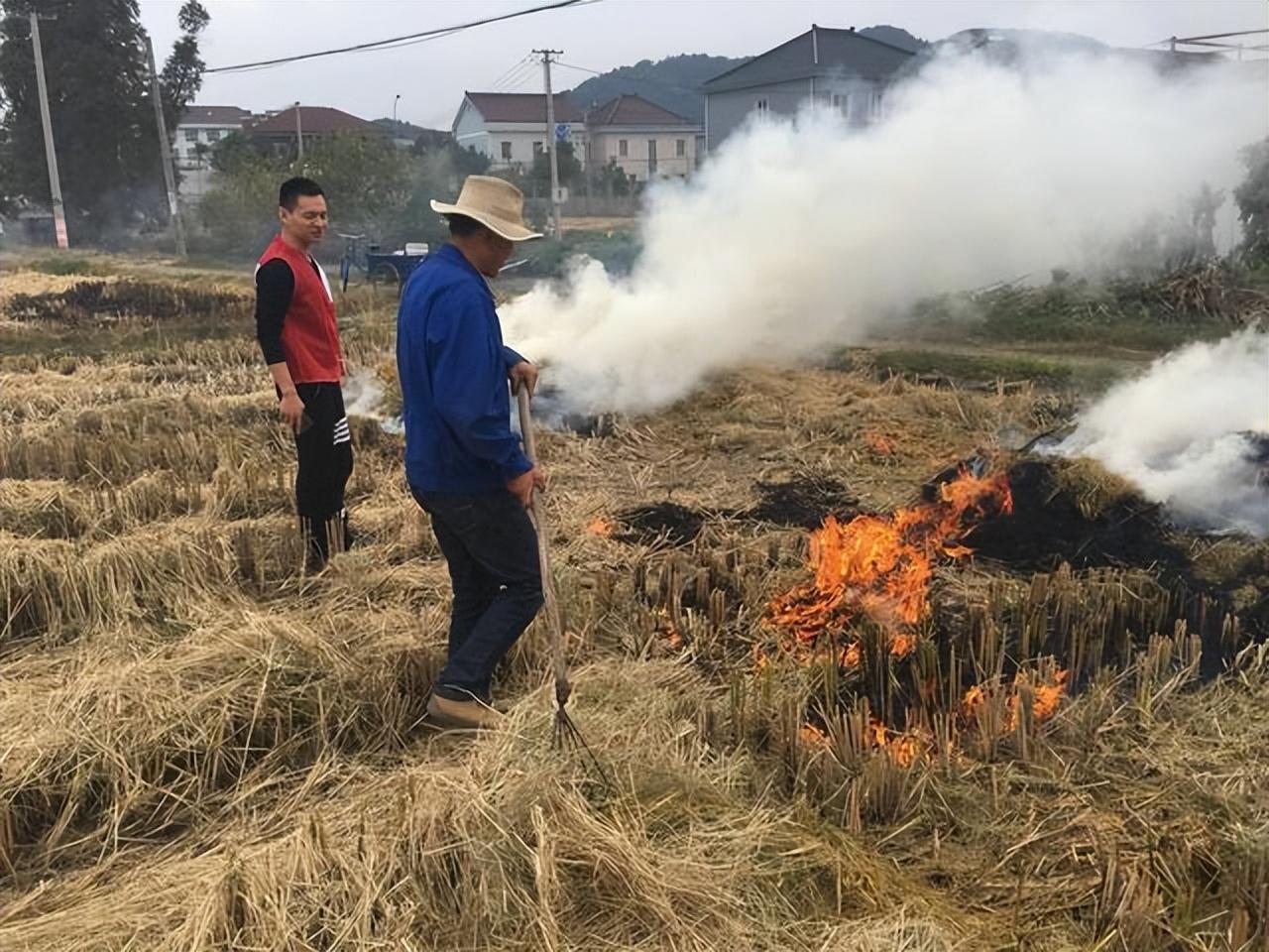 媒体热议，禁烧秸秆政策是否折腾农民？探访独特小店揭示真相
