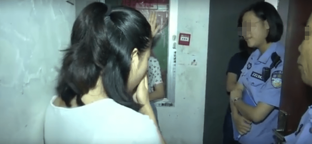 智能科技下的猫咪生活，母女家中养超20只猫，恶臭扰邻成过去式！