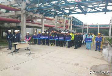青海卫健局建群事件解析及应对指南，事件通报、解析与应对步骤（初学者与进阶用户适用）