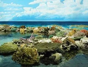 海滩上的秘密行动，独特父爱之花蛤寻宝之旅