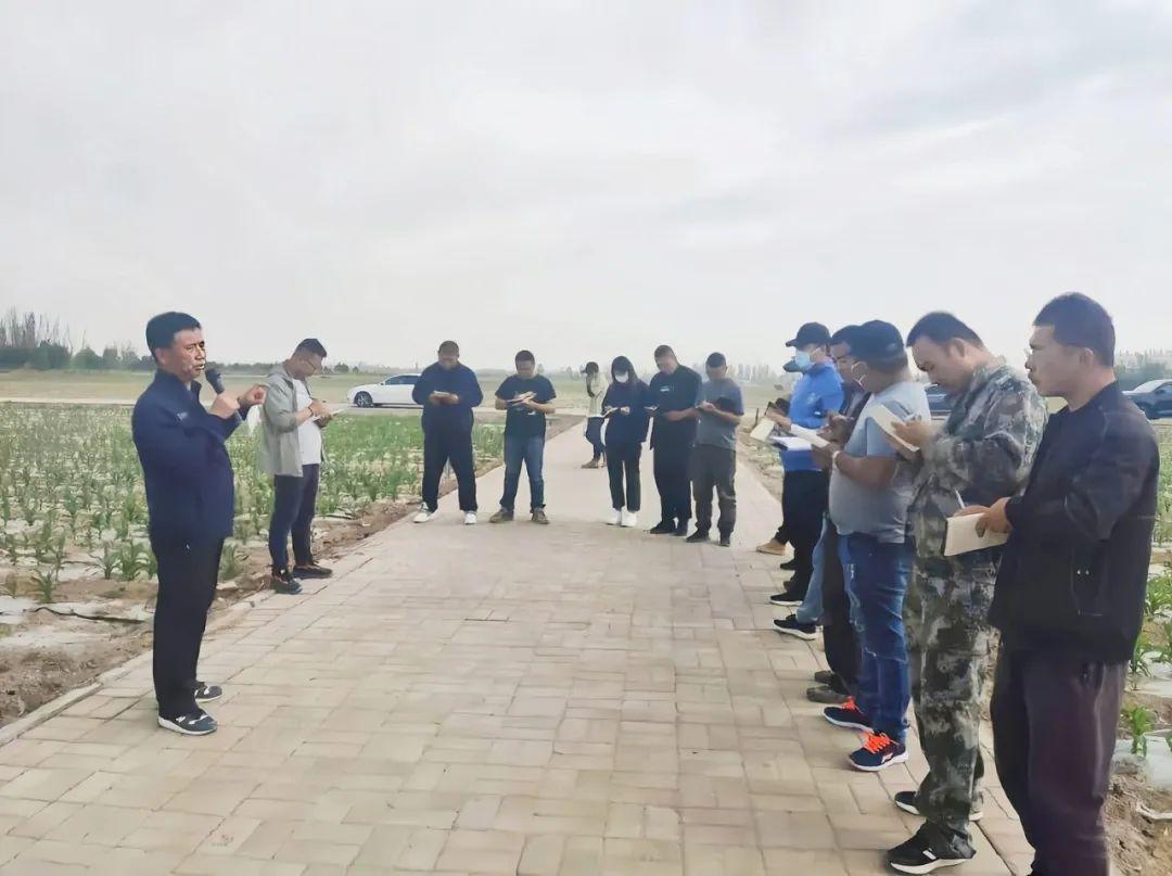 实现粮食安全的全步骤指南，粮稳天下安