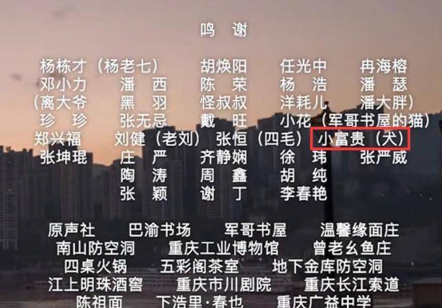 一码一肖100%精准,战术解答解释落实_启蒙版85.401