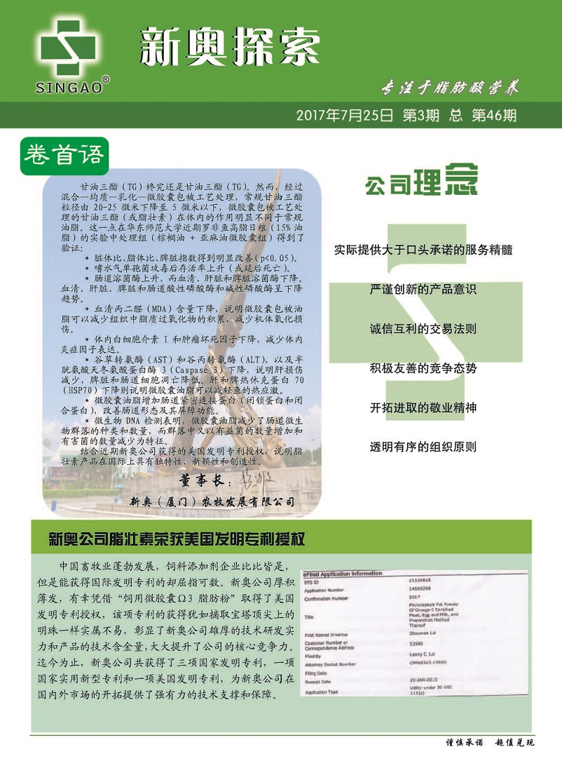 2024新奥资料免费精准051,迅速计划解答执行_竞技款30.323