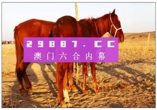 六开彩澳门开奖结果查询,睿智解析执行落实_领航版37.895