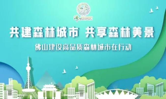 2024香港资料大全正版资料图片,细致研究解答方案_app48.973