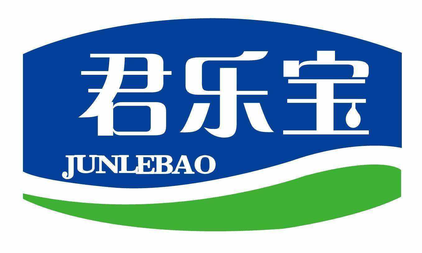 2024新奥精准正版资料,2024新奥精准正版资料大全,精细化探讨策略_多样版48.219