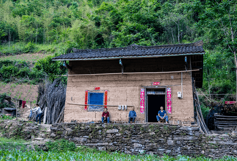 秦岭发现新物种，秦岭缺翅螳，探索自然美景之旅的新发现