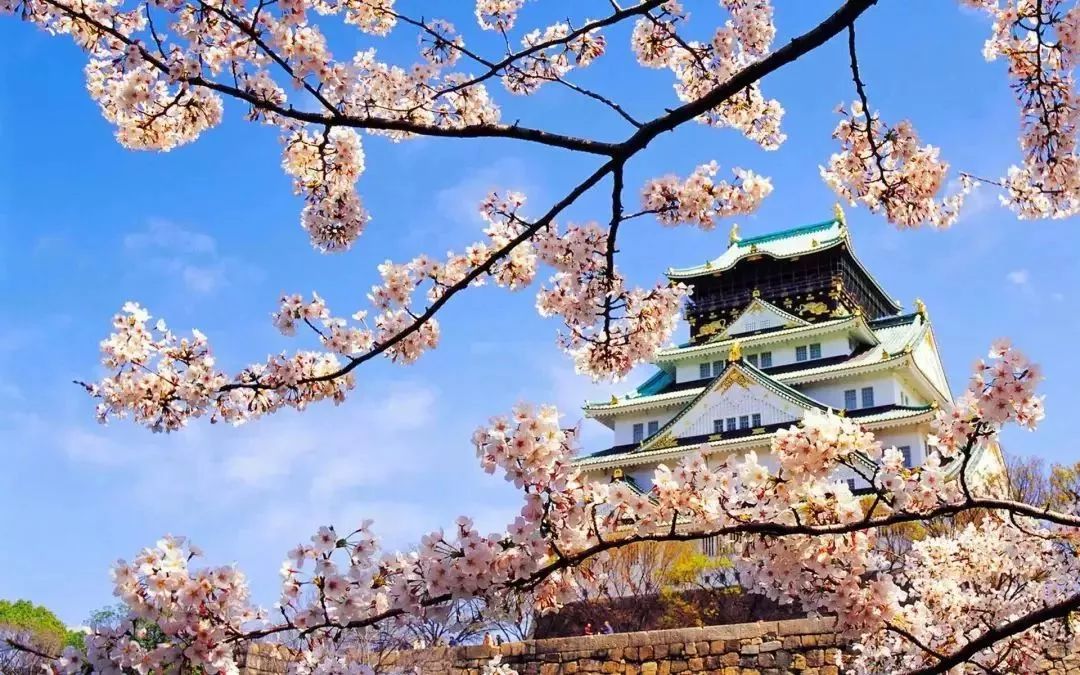 日本众议院选举公示与美景治愈之旅的双重呈现