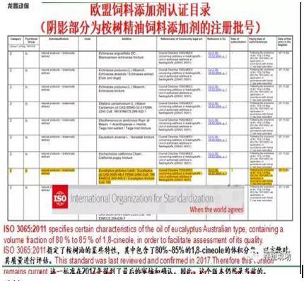 新澳2024年正版资料免费大全,高效方案解答管理_The款21.809